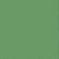 ULT200032 Shamrock