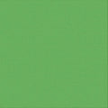 ULT200036 Leprechaun
